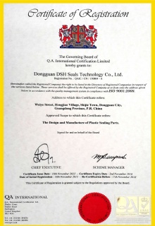 ISO 9001 質(zhì)量管理體系認證（英）