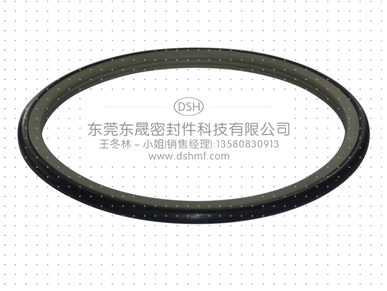 軸用旋轉格萊圈DRS