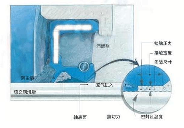 油封密封唇口與旋轉軸表面接觸區(qū)