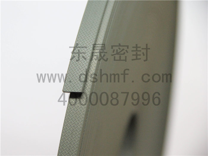 密封件，導向帶