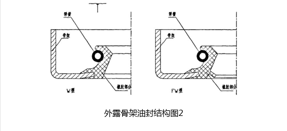 外露骨架油封結構圖