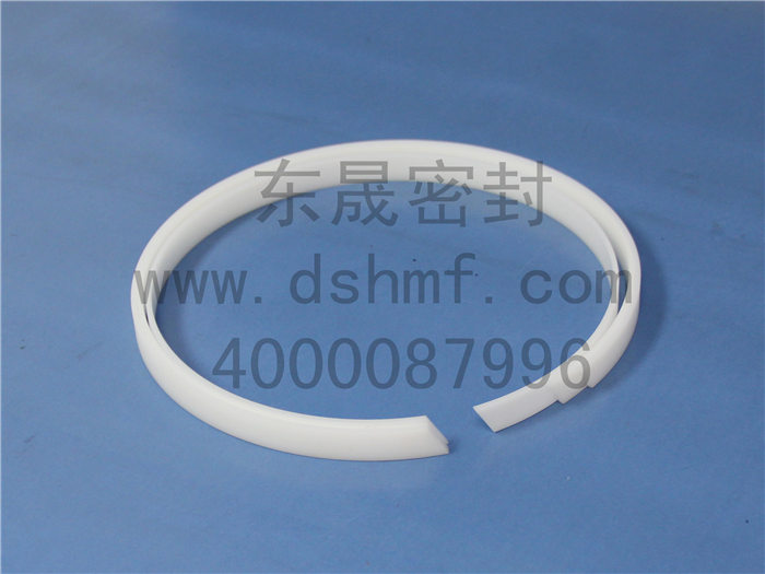 改性PTFE導向環,密封件產品