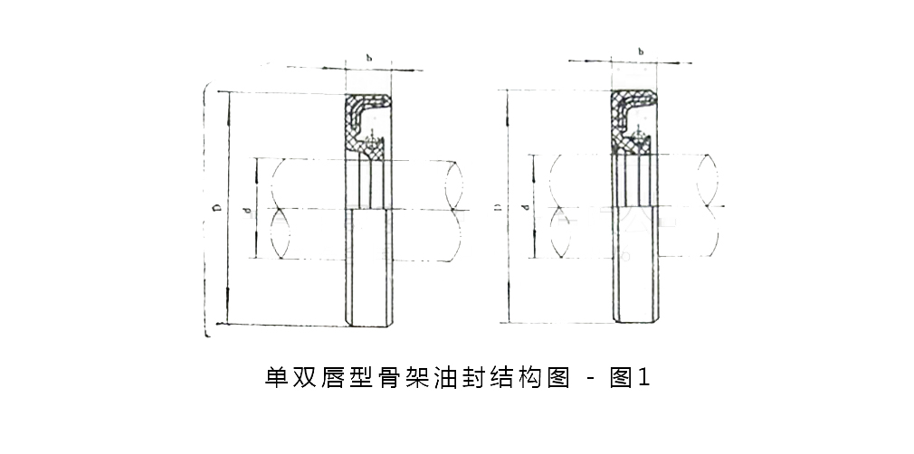 單雙唇油封標準尺寸結構圖