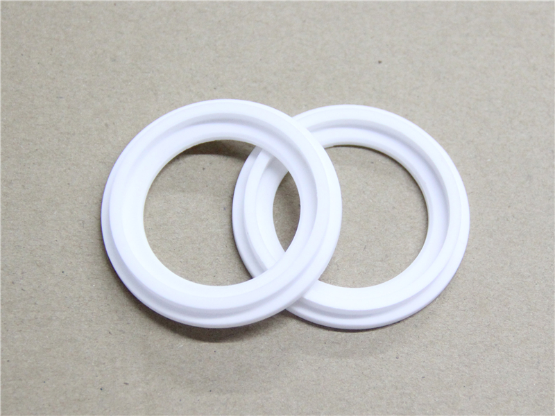 硬密封件，陶瓷密封件，產(chǎn)品