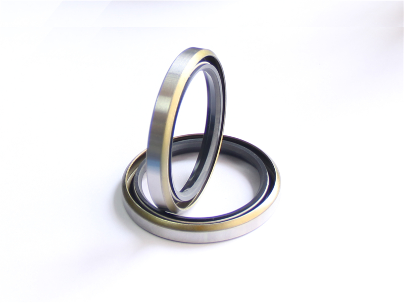 油封，浮動(dòng)，密封件，產(chǎn)品