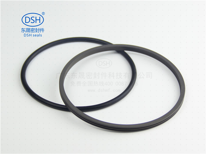 孔用旋轉格萊圈