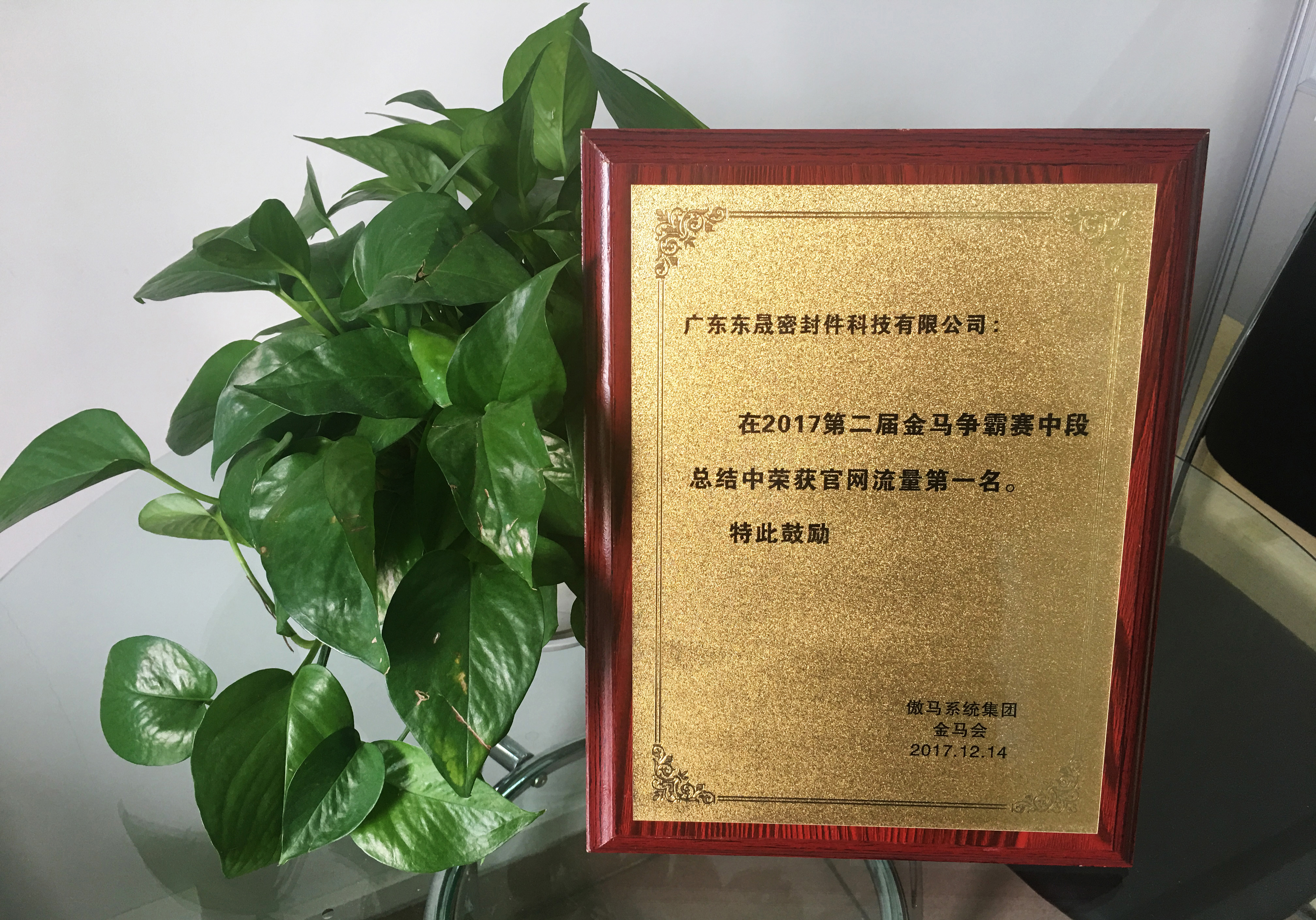 免費(fèi)官網(wǎng)流量的一名獎項及獎獎牌