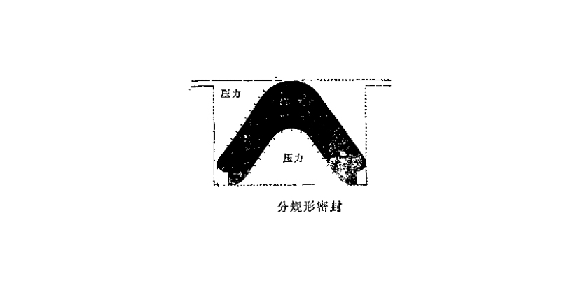 C型密封圈分規形密封圈結構圖