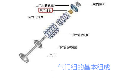 氣門油封,TC油封結構