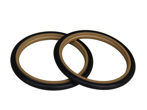 氟橡膠密封圈,密封圈