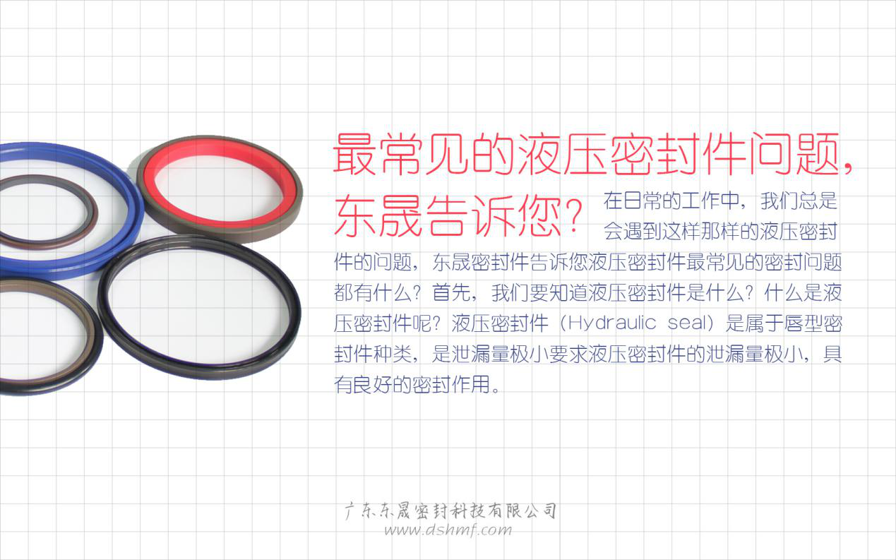 （二）液壓密封件的常見問題解答？