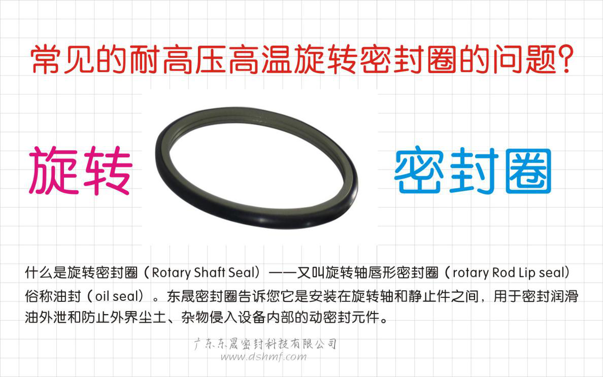常見的耐高壓高溫旋轉密封圈的問題？之四