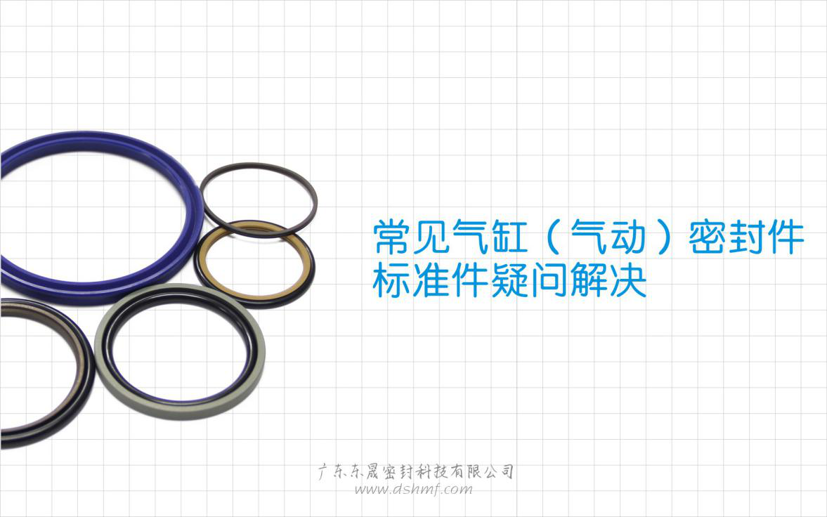 常見氣缸（氣動）密封件標準件疑問解決？