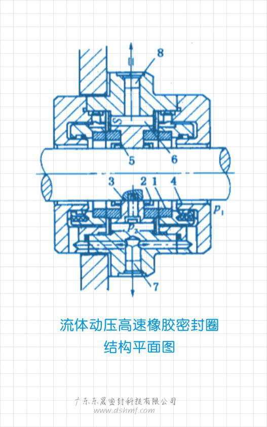 流體動(dòng)壓高速橡膠密封件結(jié)構(gòu)平面圖