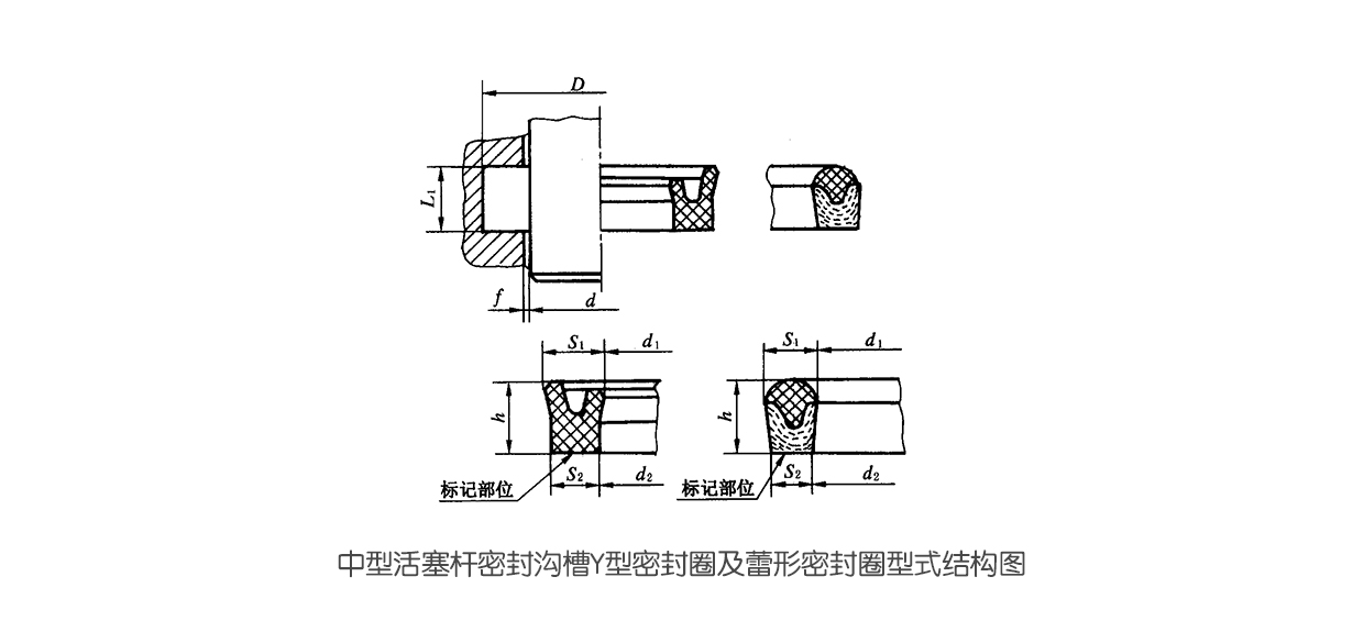 中型活塞桿密封溝槽Y型密封件及蕾形密封件型式結構圖