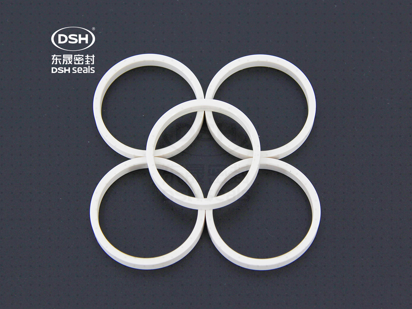 工程塑膠導向環(huán)（高溫導向密封環(huán)）