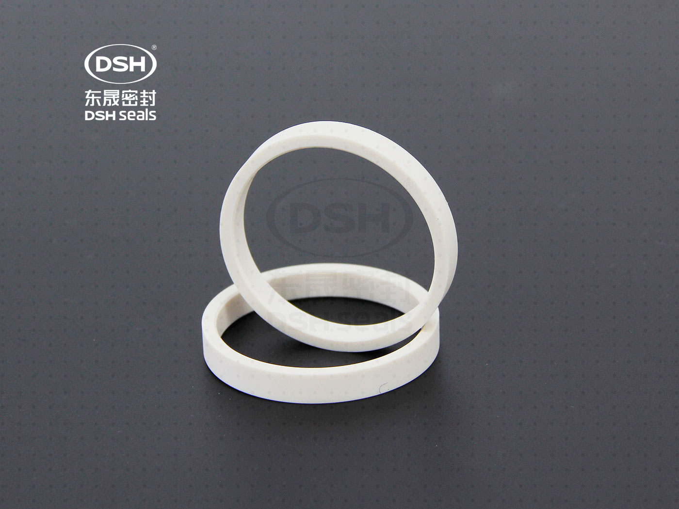 工程塑膠導向環(huán)（高溫導向密封環(huán)）