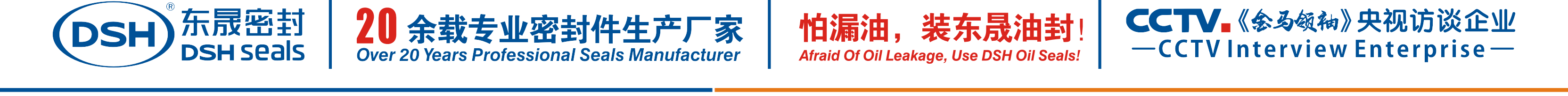 怕漏油，裝東晟油封！