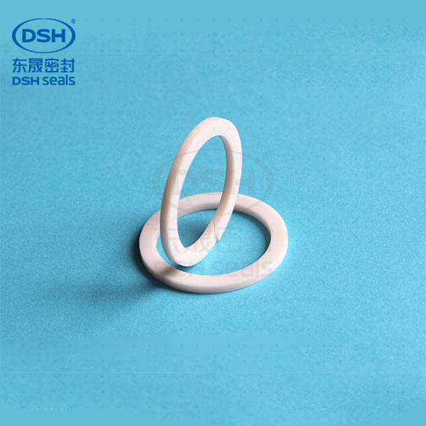 PTFE密封件