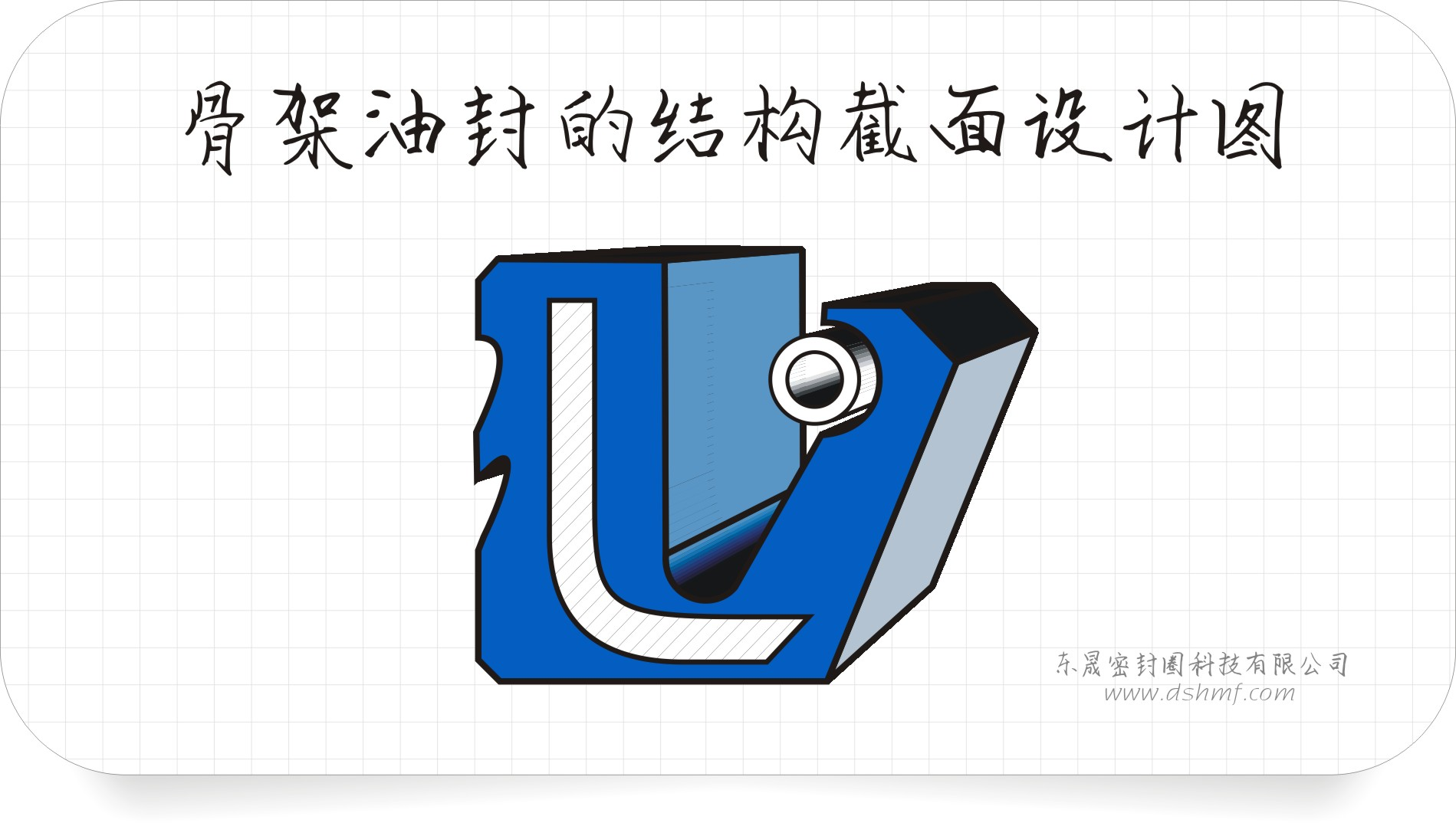 油封截面設(shè)計3D立體圖2 油封截面設(shè)計3D立體圖2