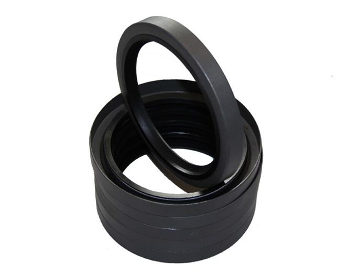 旋轉密封件（Rotary Shaft Seal）1