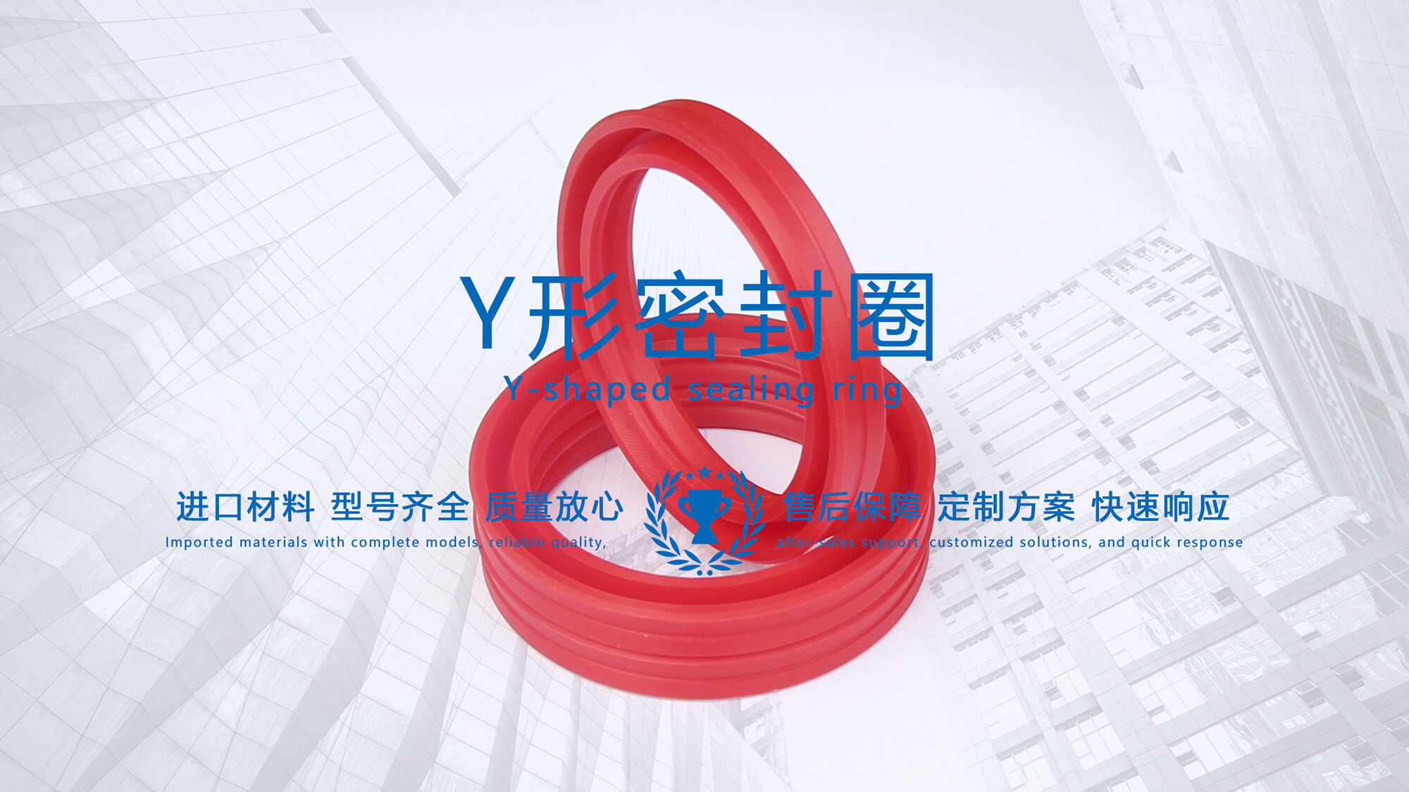 y型密封圈（又Y形密封圈，Y形圈，Y型圖或唇形密封圈，密封件油封膜片） (2)