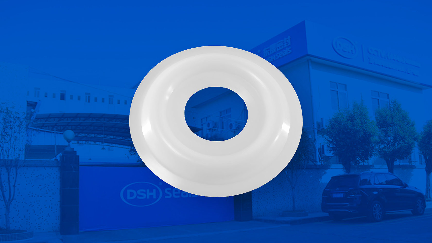 米頓羅計量泵膜片 （又叫隔膜、密封件、密封圈、油封） (2)