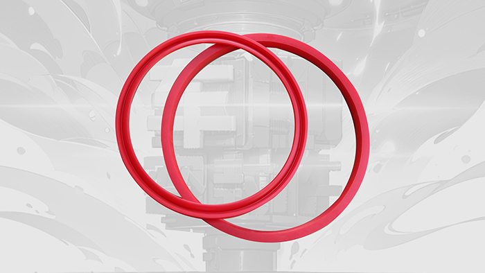 車(chē)削密封件密封圈油封膜片 (1)