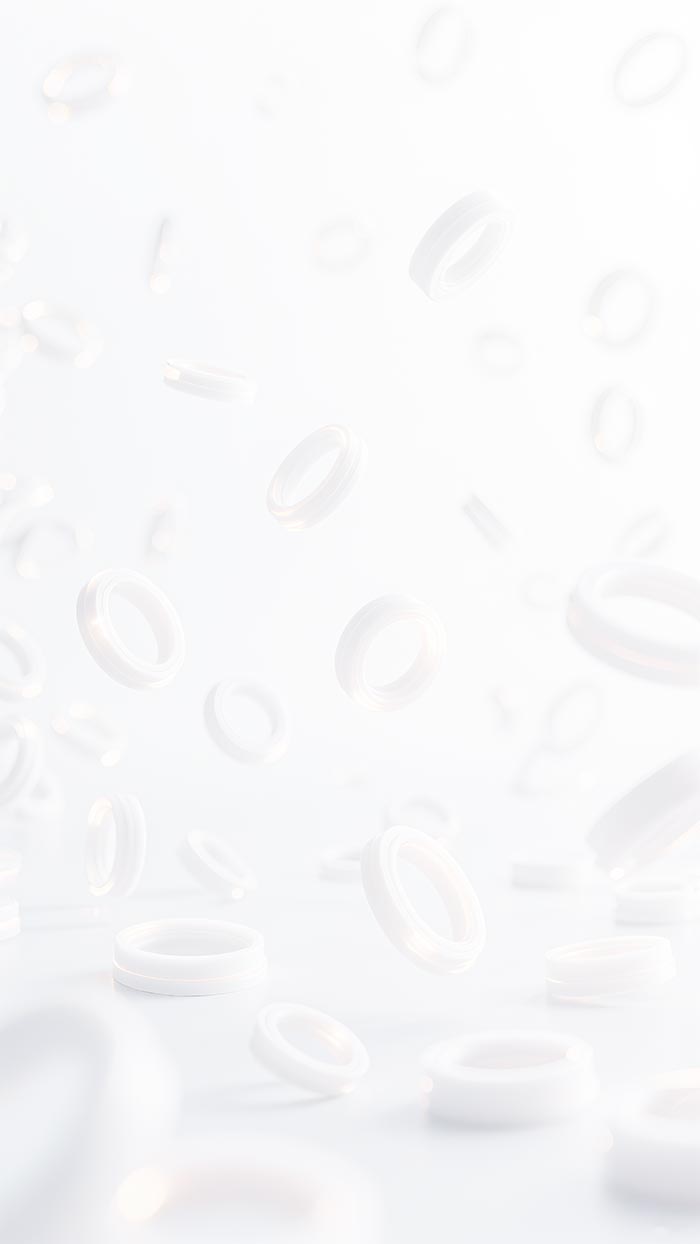 四氟密封件排版設(shè)計(jì)1