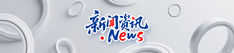 汽車打氣泵y型密封圈DYH產(chǎn)品案例 ? 密封材料改性關鍵技術解析！