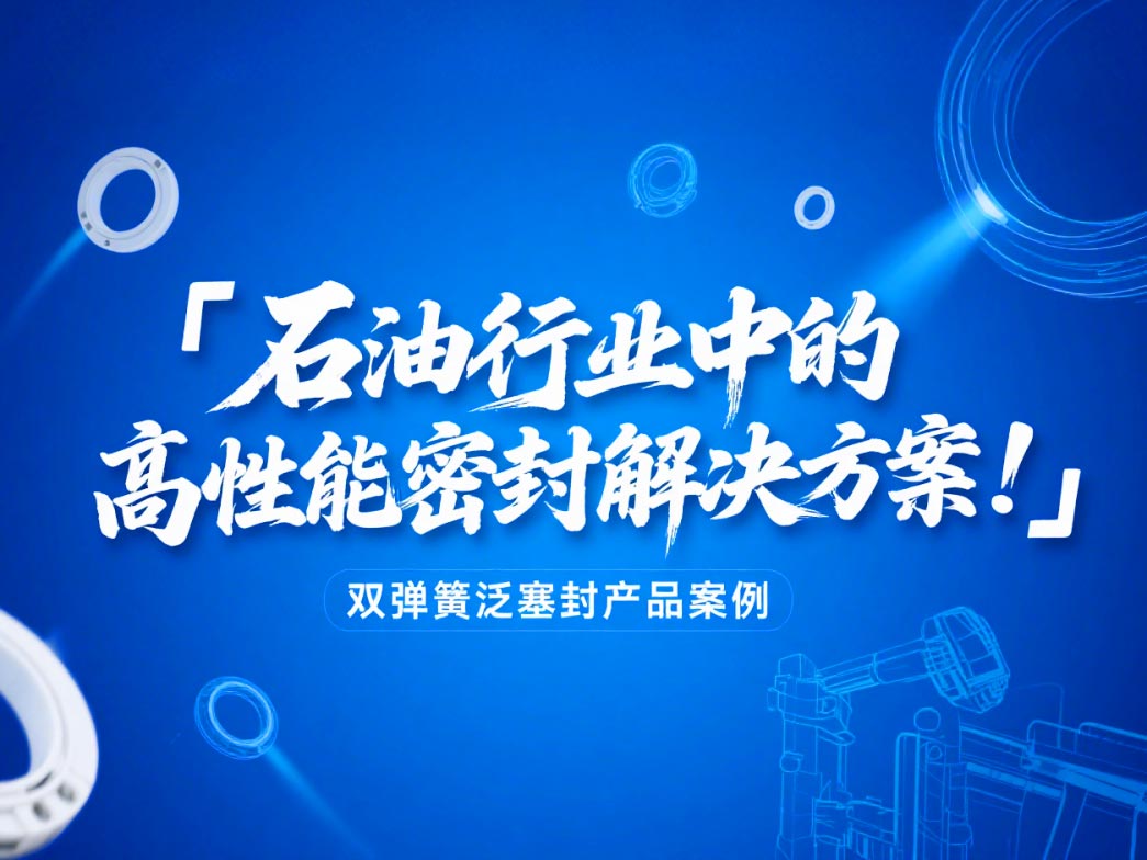 ?雙彈簧泛塞封產品案例 ? 石油行業中的高性能密封解決方案！?