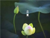 立夏已至，萬物向陽；